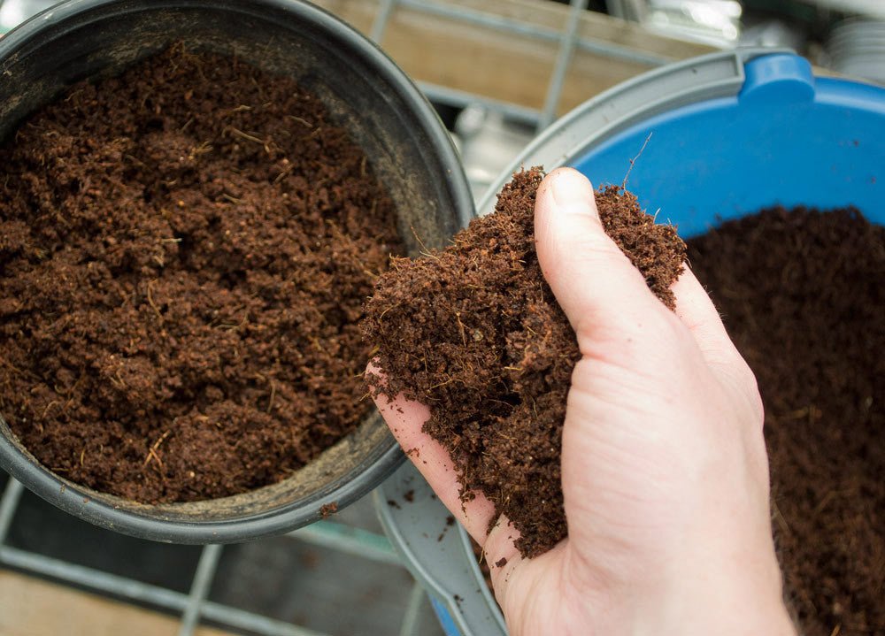 Coconut Coir