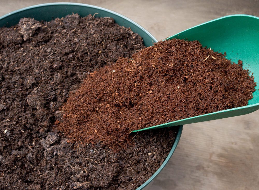 Coconut Coir
