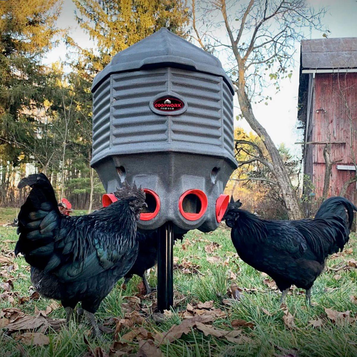 CoopWorx Silo Chicken Feeder - 80 lbs Single Post option3