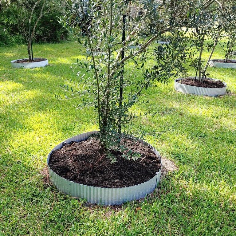 Corrugated Metal Landscape Edging - 10' Lengths 6 inches tall x 10 feet long Rusted