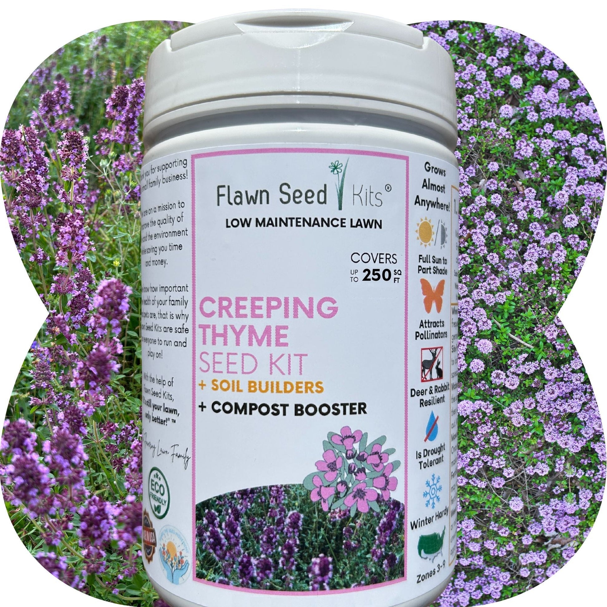 Creeping Thyme Flowering Lawn & Groundcover - Seed Kit 250 sq ft
