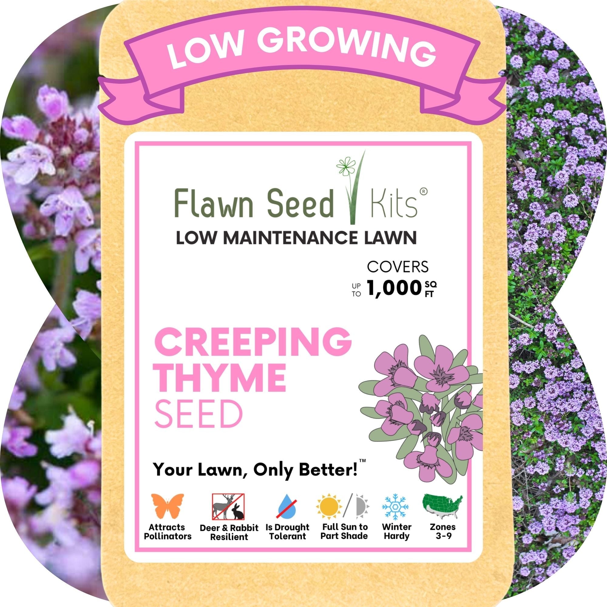 Creeping Thyme Flowering Lawn & Groundcover - Seed Pouch 250 sq ft 6250 Seeds approx.