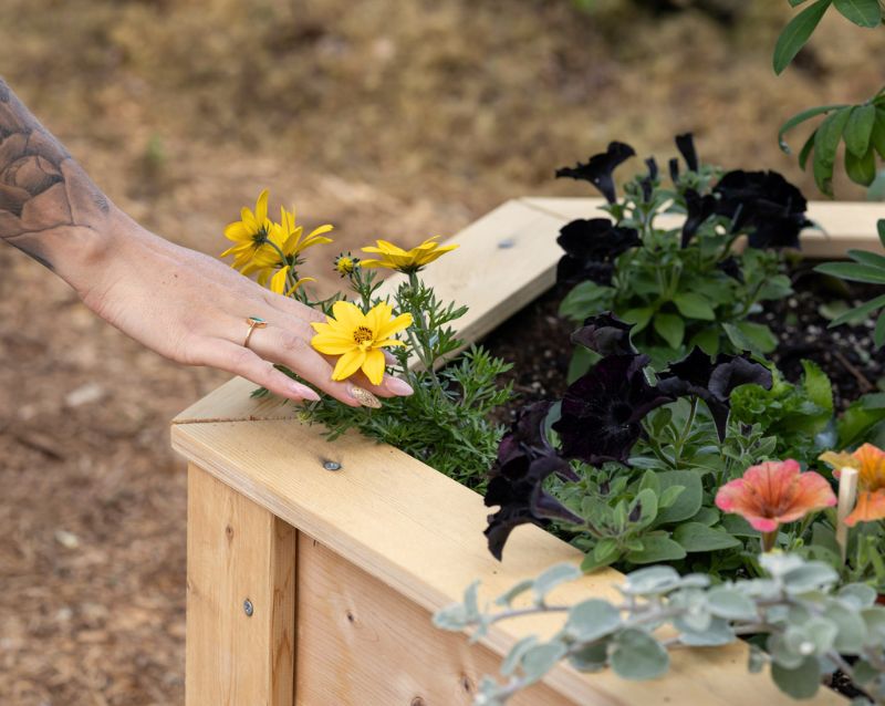 <strong>Your garden, delivered</strong>