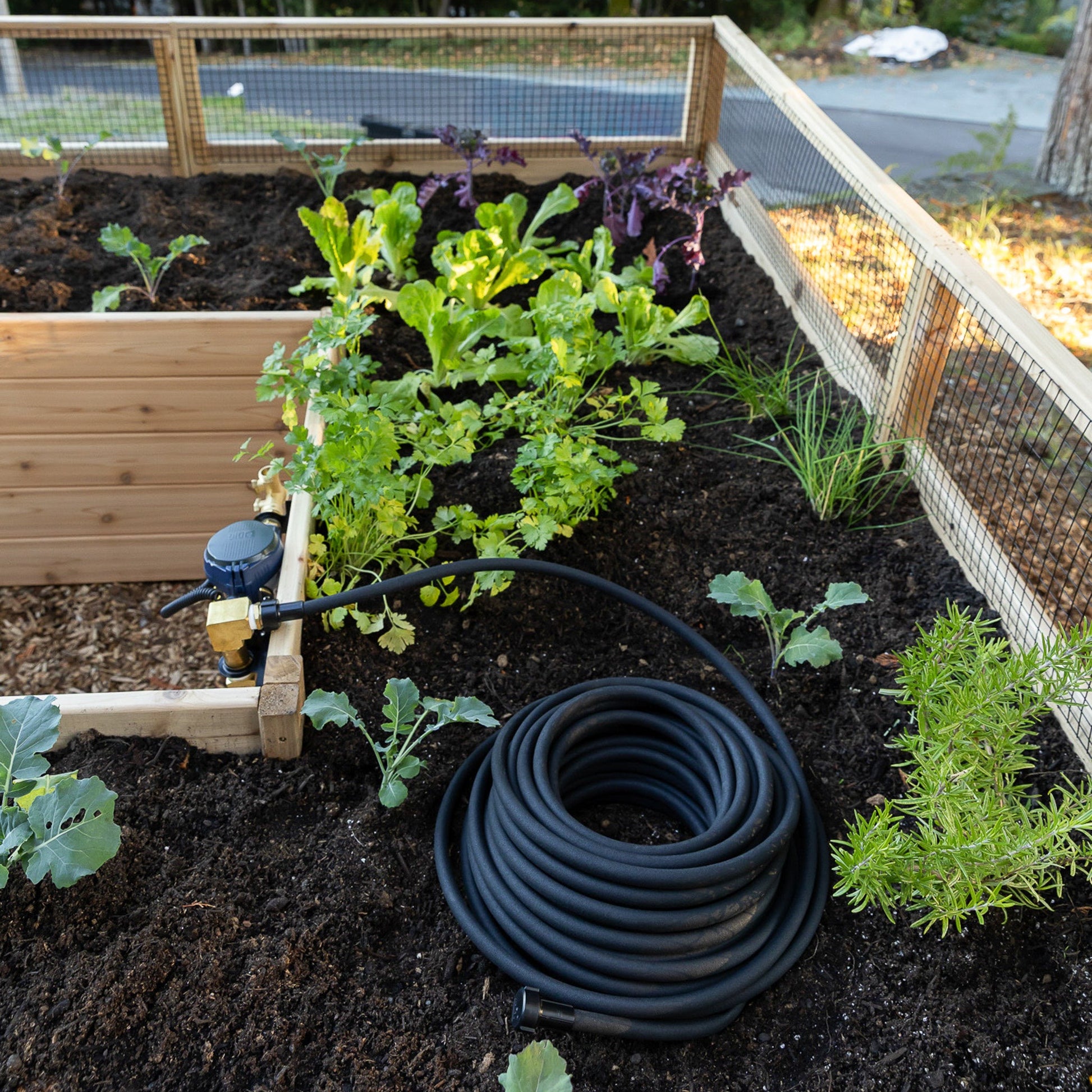 Deer Proof Cedar Complete Raised Garden Bed Kit - 8' x 12'