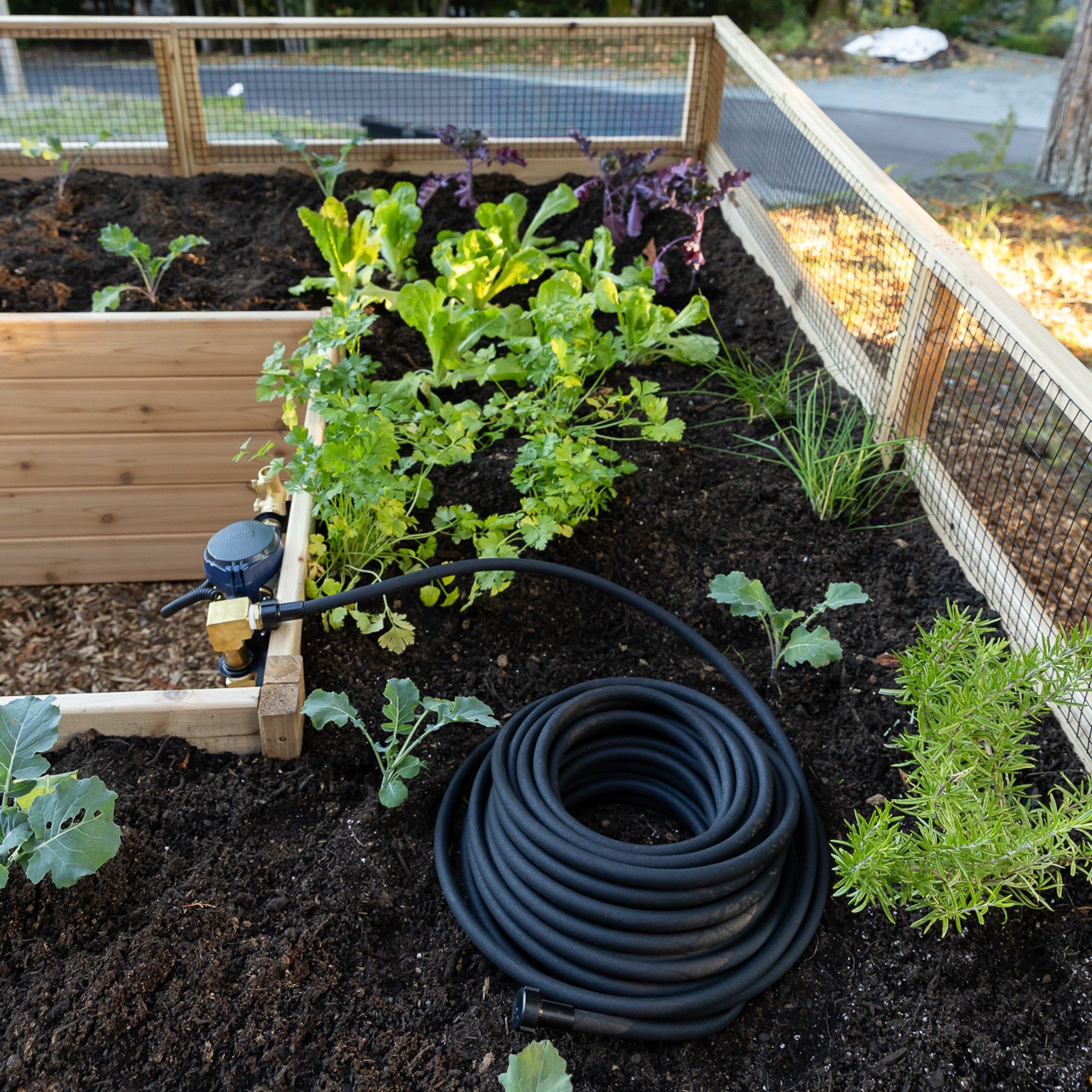 Deer Proof Cedar Complete Raised Garden Bed Kit - 8' x 12'