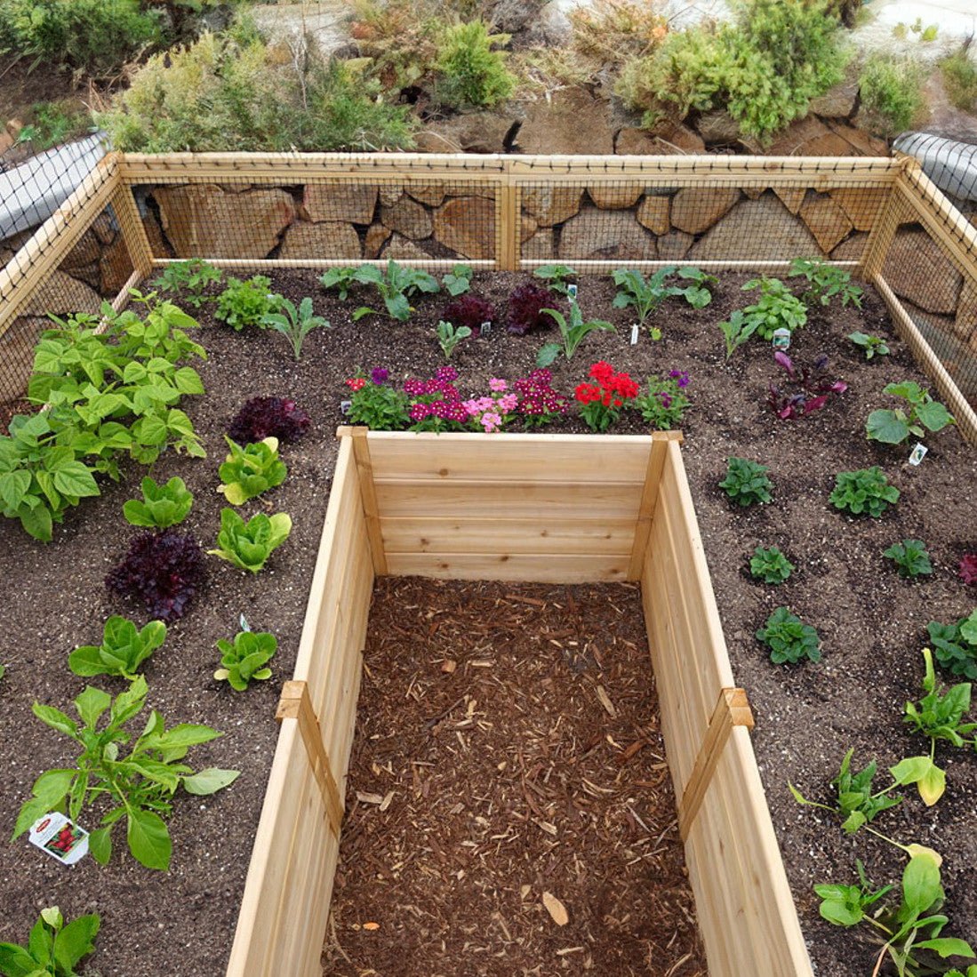 Deer Proof Cedar Complete Raised Garden Bed Kit - 8' x 8' x 20"