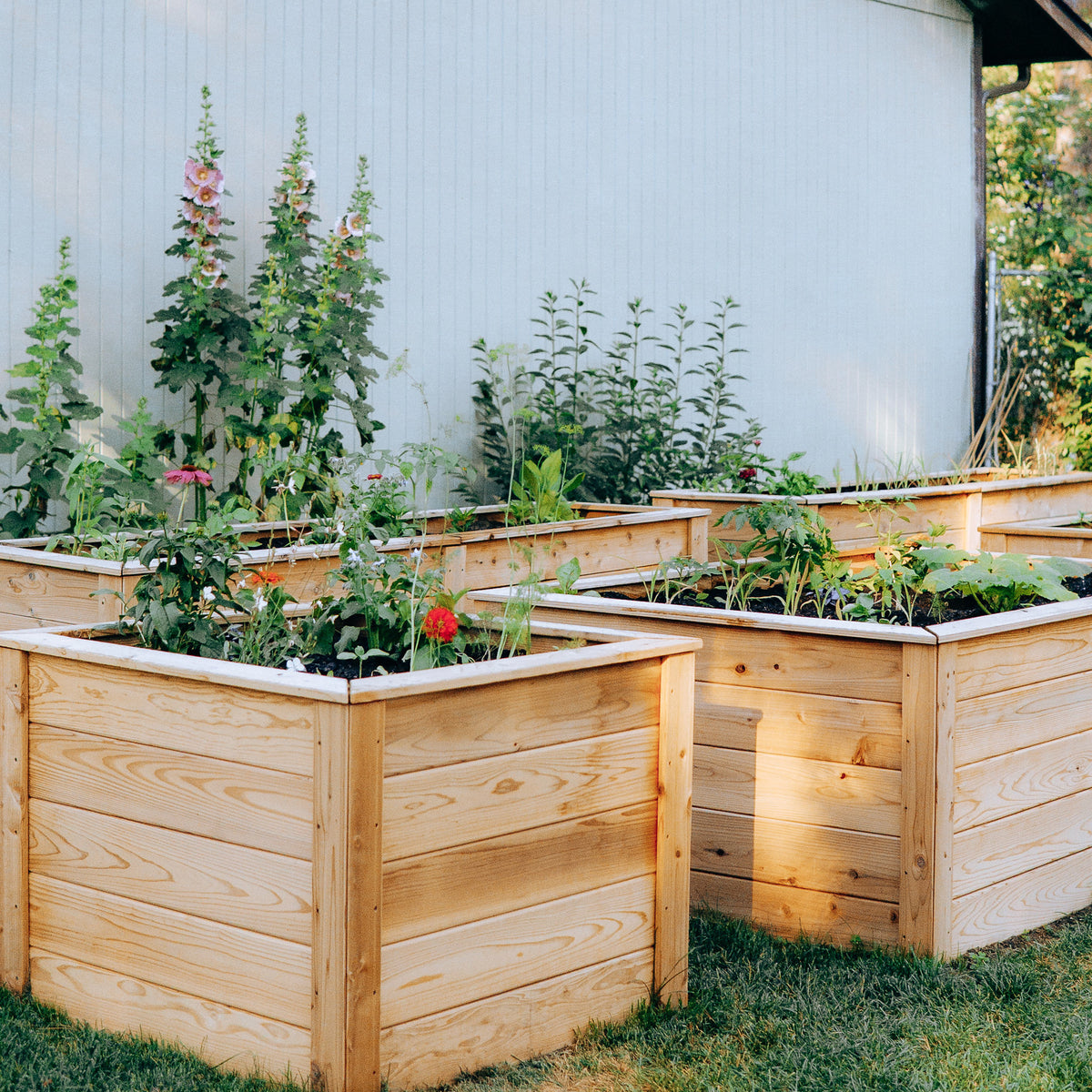 Natural Cedar Raised Garden Beds