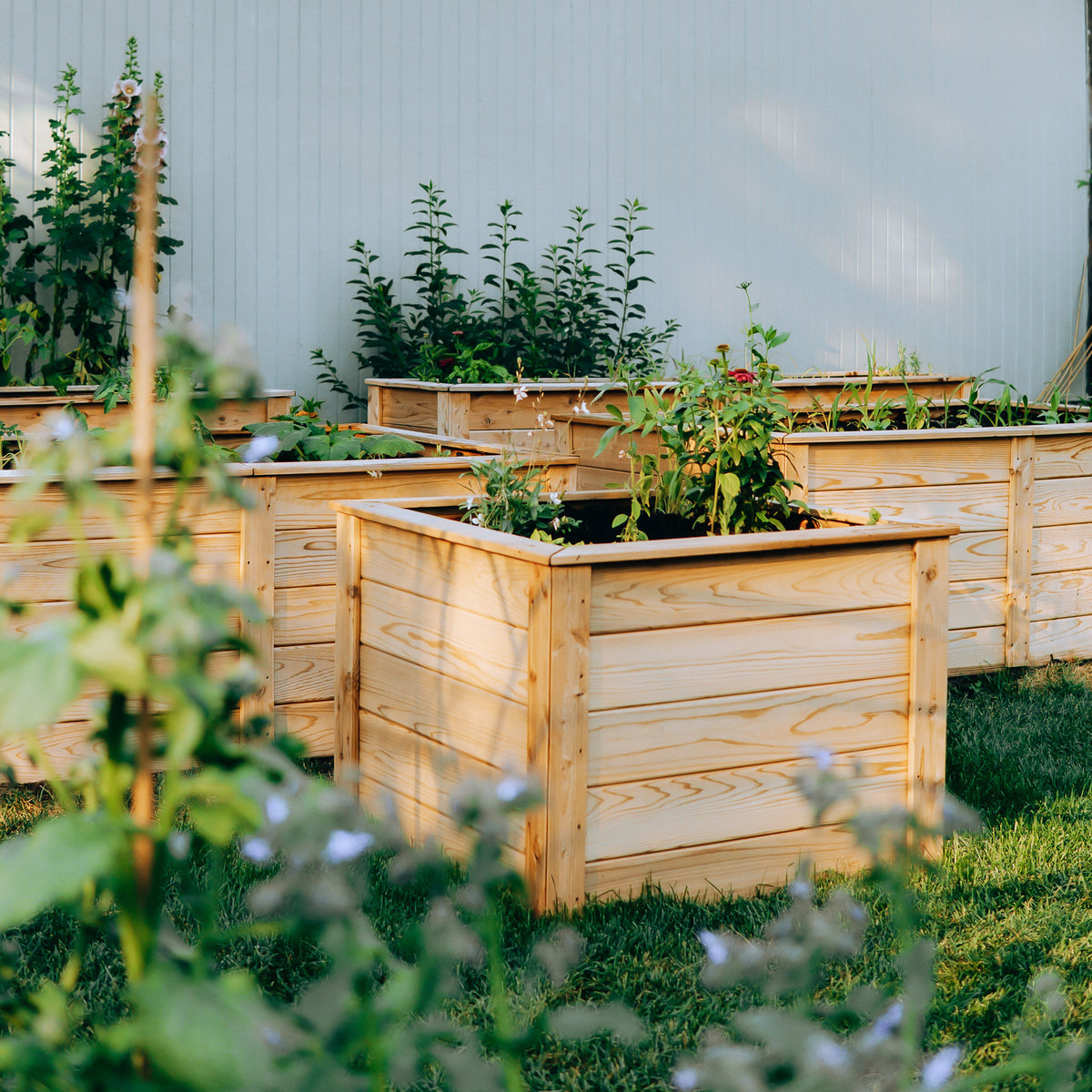 Natural Cedar Raised Garden Beds