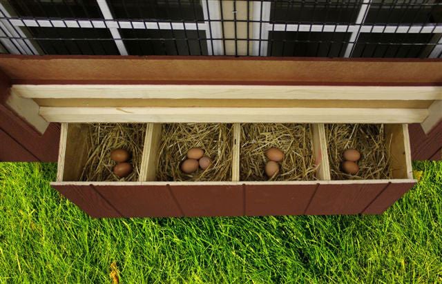 EZ-fit Chicken Coops 3' x 4'