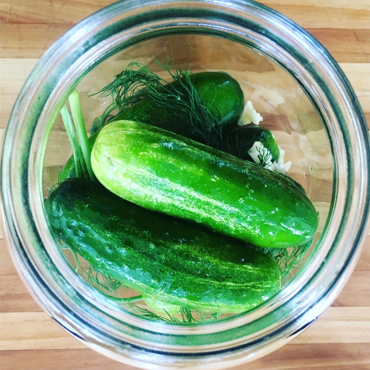 Fermented Pickle Kit
