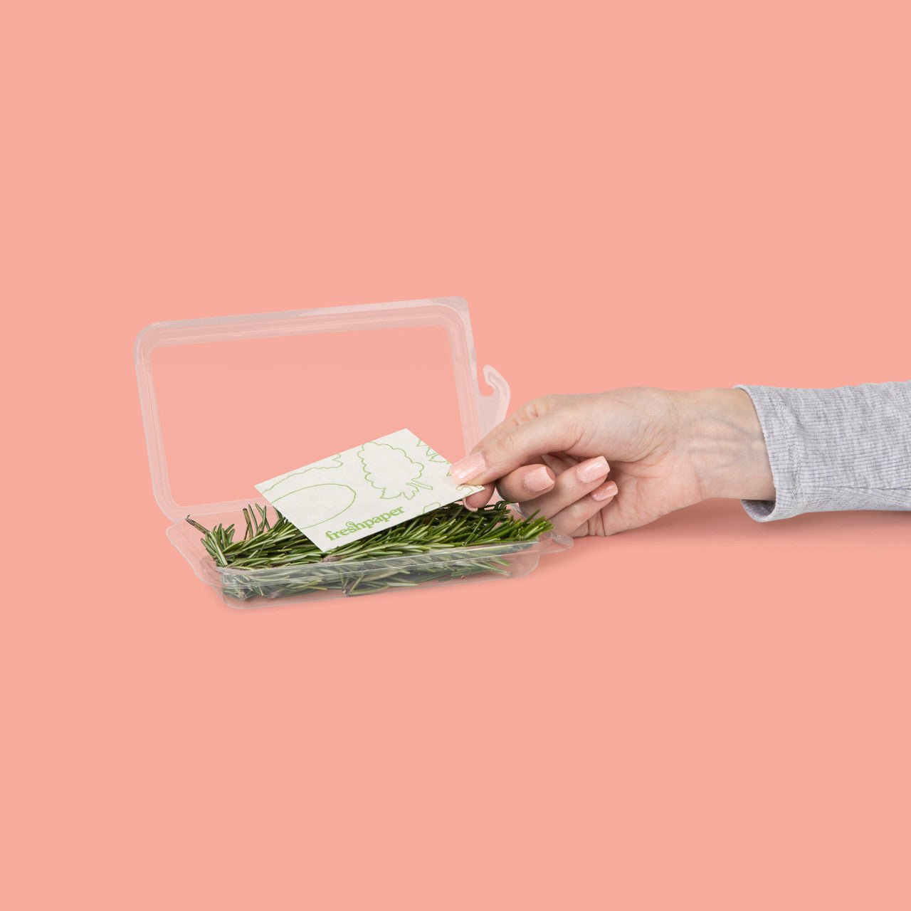 FreshPaper Produce Saver