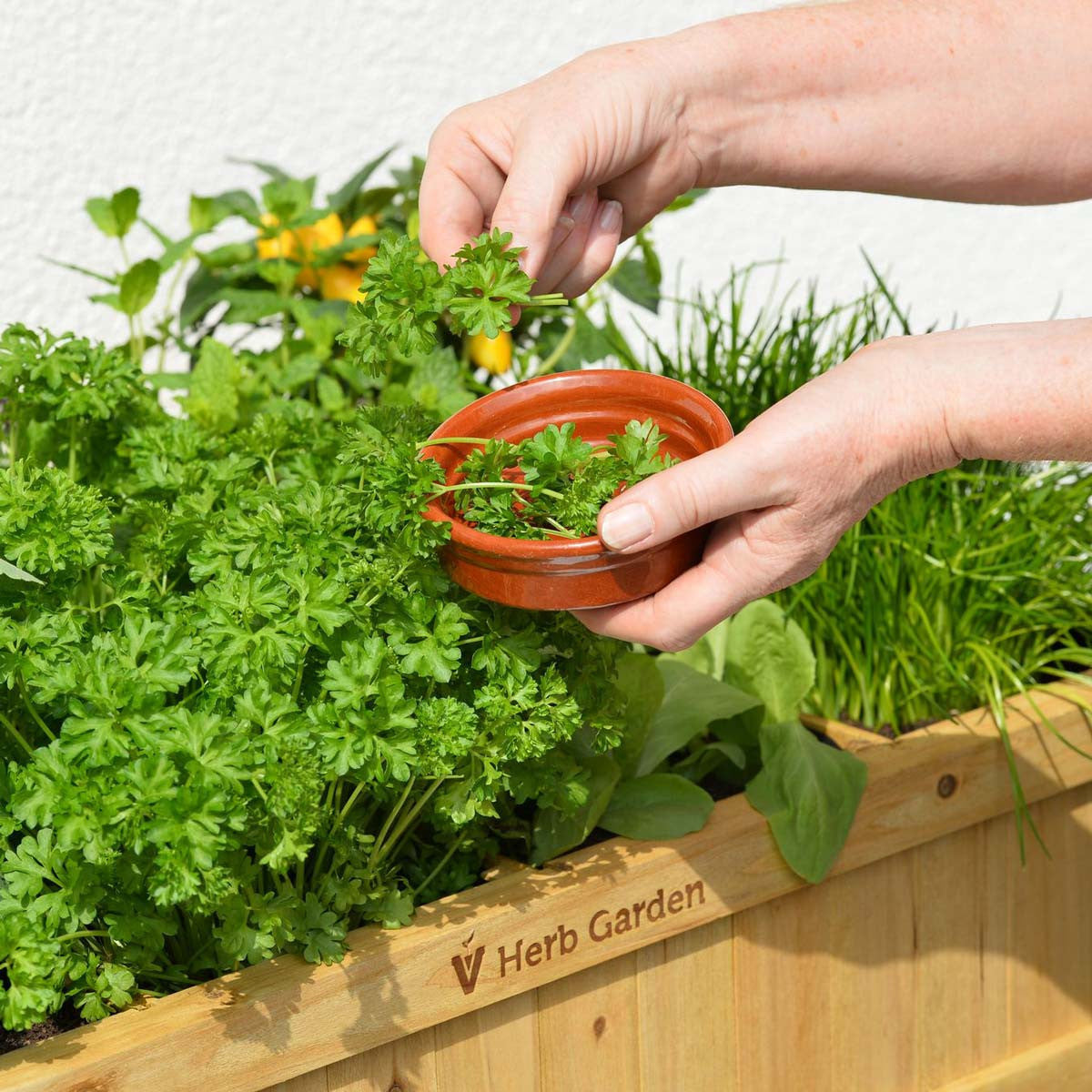 VegTrug Herb Planter - Natural Wood