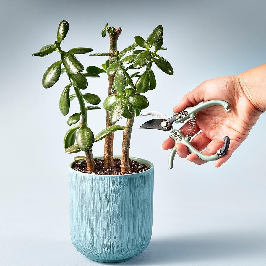 Garden Pruners