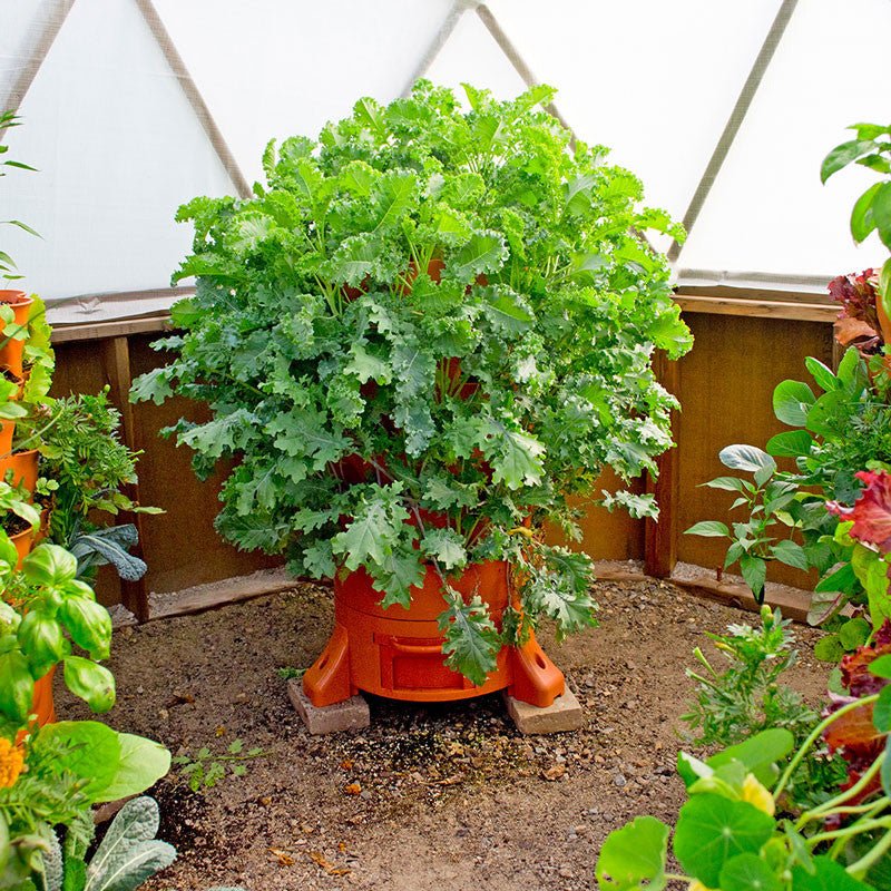 Garden Tower 2™ 50-Plant Vertical Garden Planter & Composter Terracotta option3