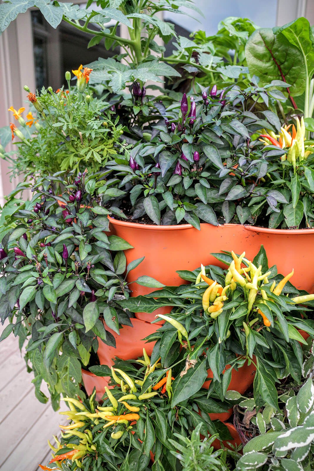 Garden Tower 2™ 50-Plant Vertical Garden Planter & Composter Terracotta option3