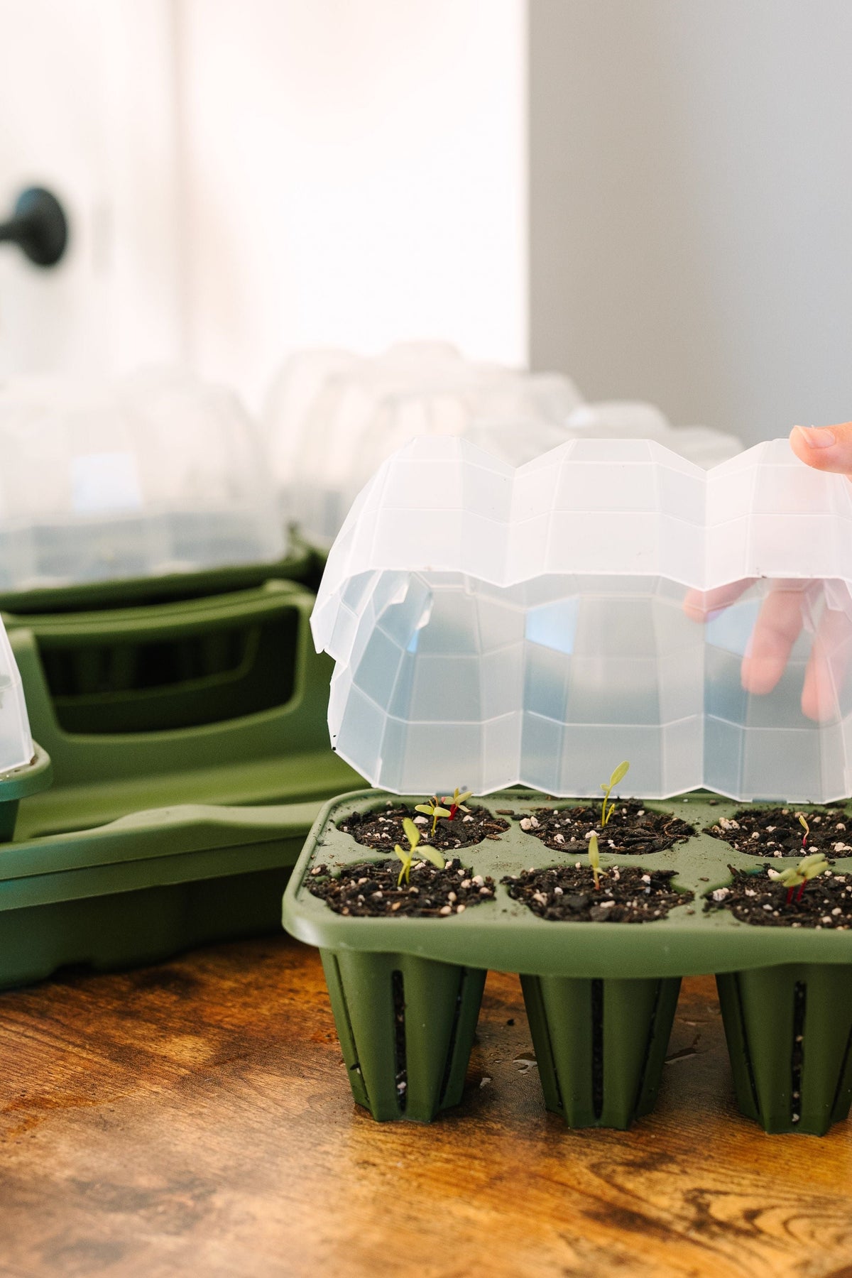 Ultimate Seed Starting Kit - 36 Planting Cells & Humidity Domes