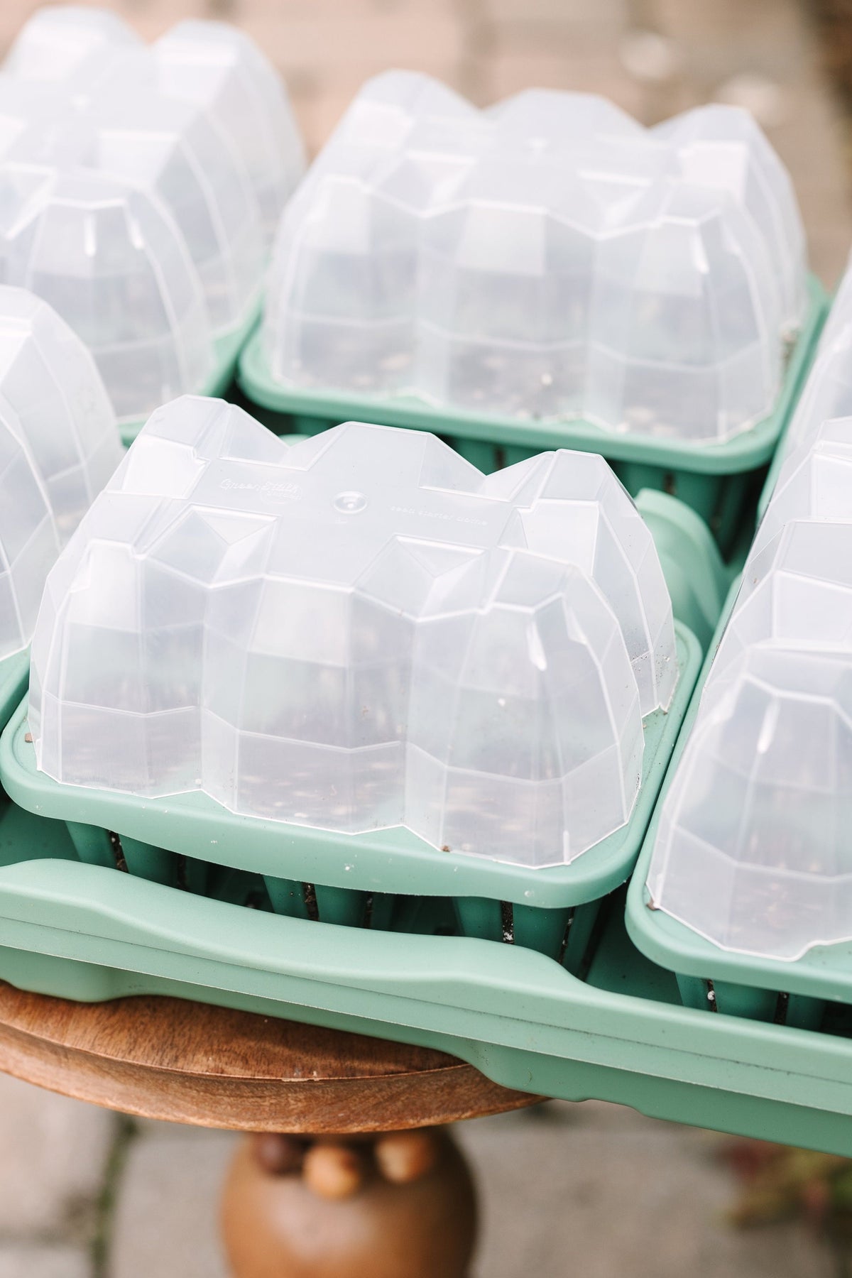 Ultimate Seed Starting Kit - 36 Planting Cells & Humidity Domes