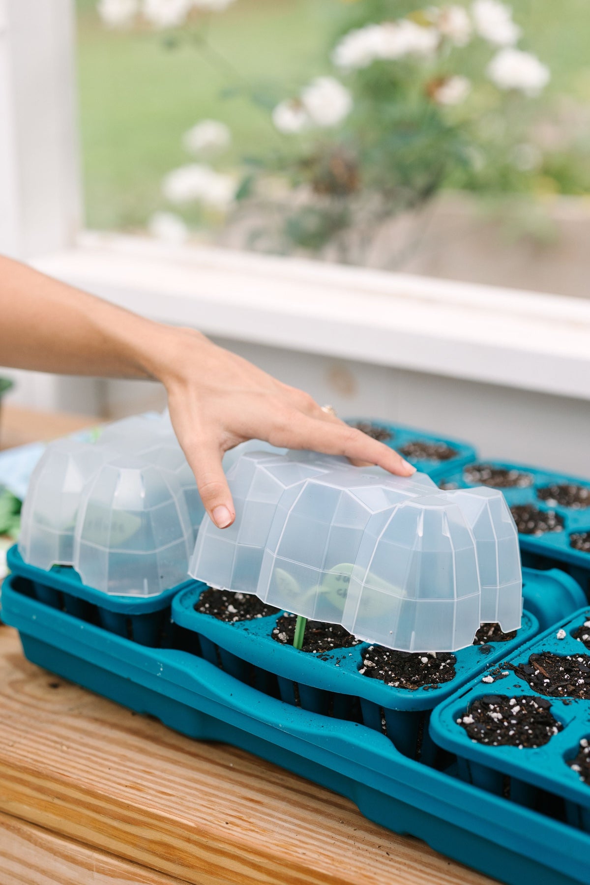 Ultimate Seed Starting Kit - 36 Planting Cells & Humidity Domes