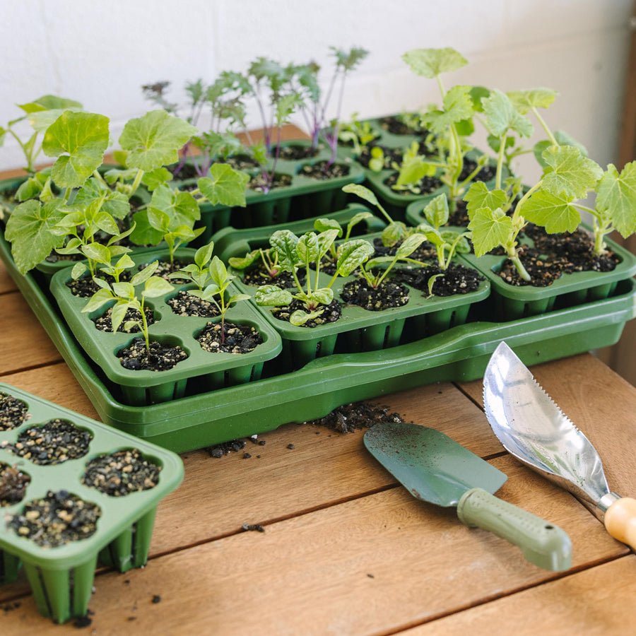 Ultimate Seed Starting Kit