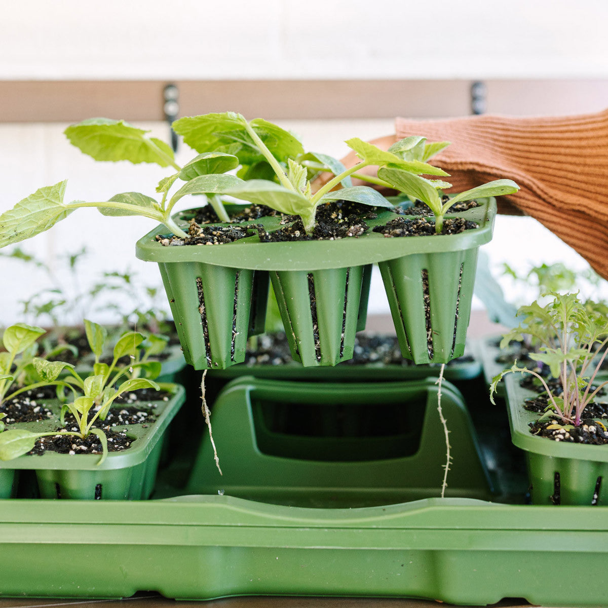 Ultimate Seed Starting Kit