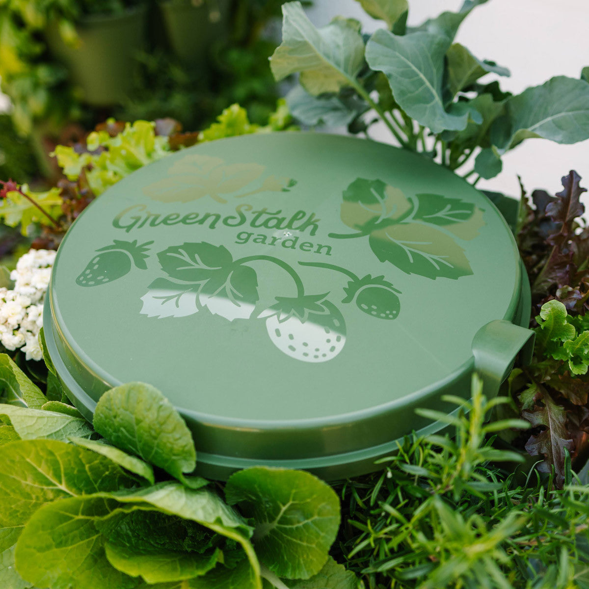 Watering System for Greenstalk Vertical Planters