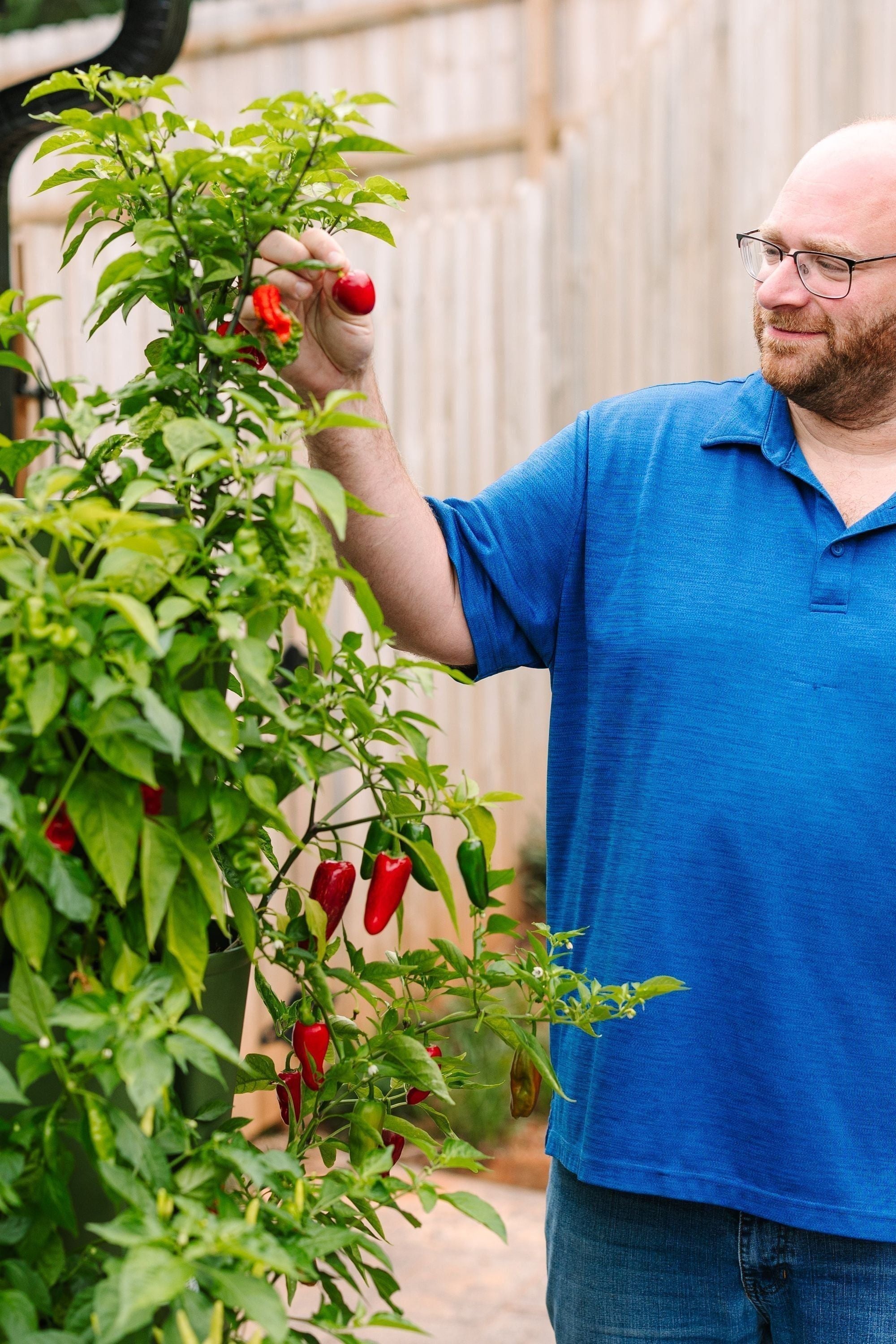5 Tier GreenStalk Vertical Planter - Original