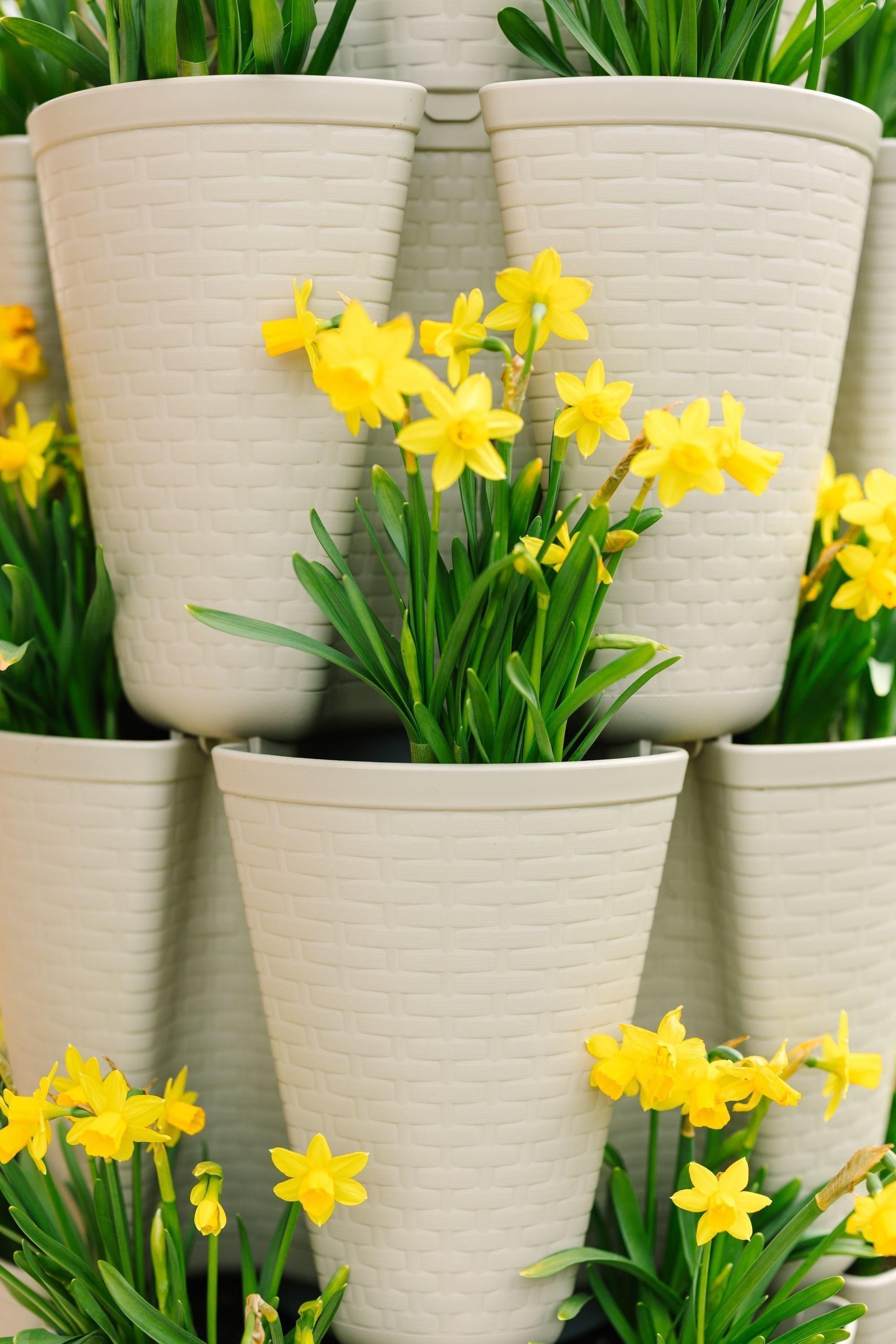 5 Tier "Original" GreenStalk Vertical Planter - Basket Weave Texture