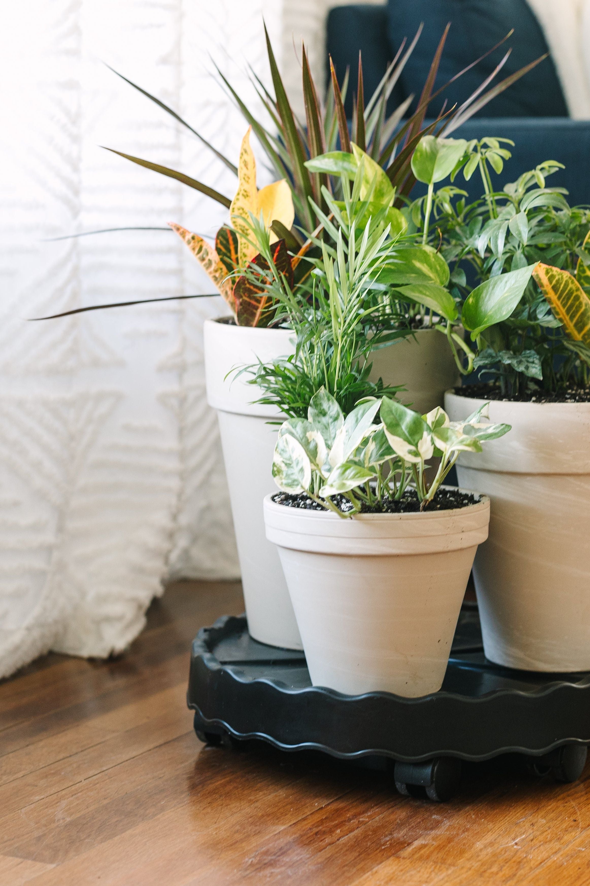 GreenStalk Garden Ultimate Indoor Mover & Plant Stand