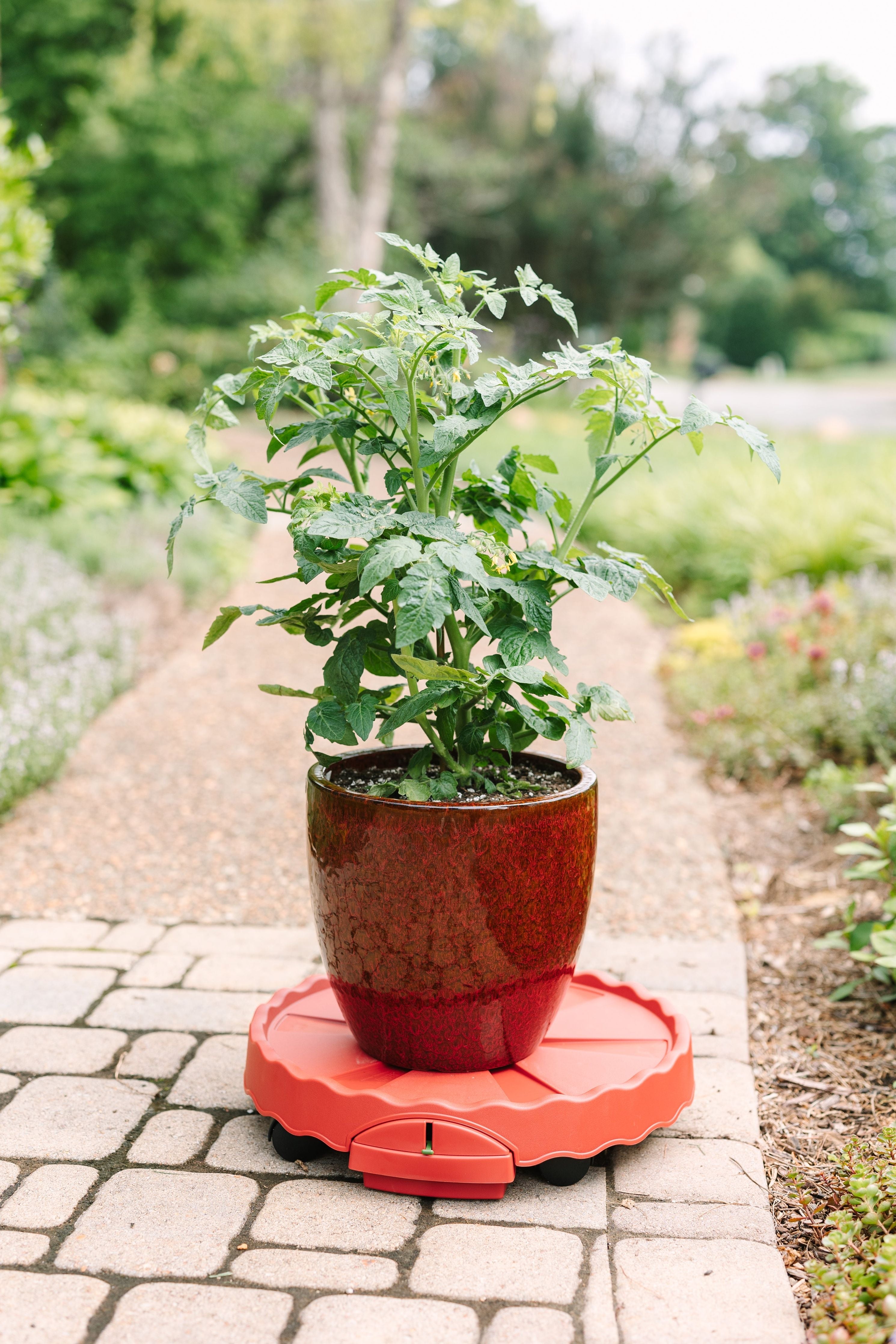 GreenStalk Garden Ultimate Indoor Mover & Plant Stand