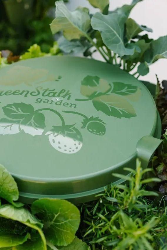 GreenStalk Garden Spring - Watering System Evergreen