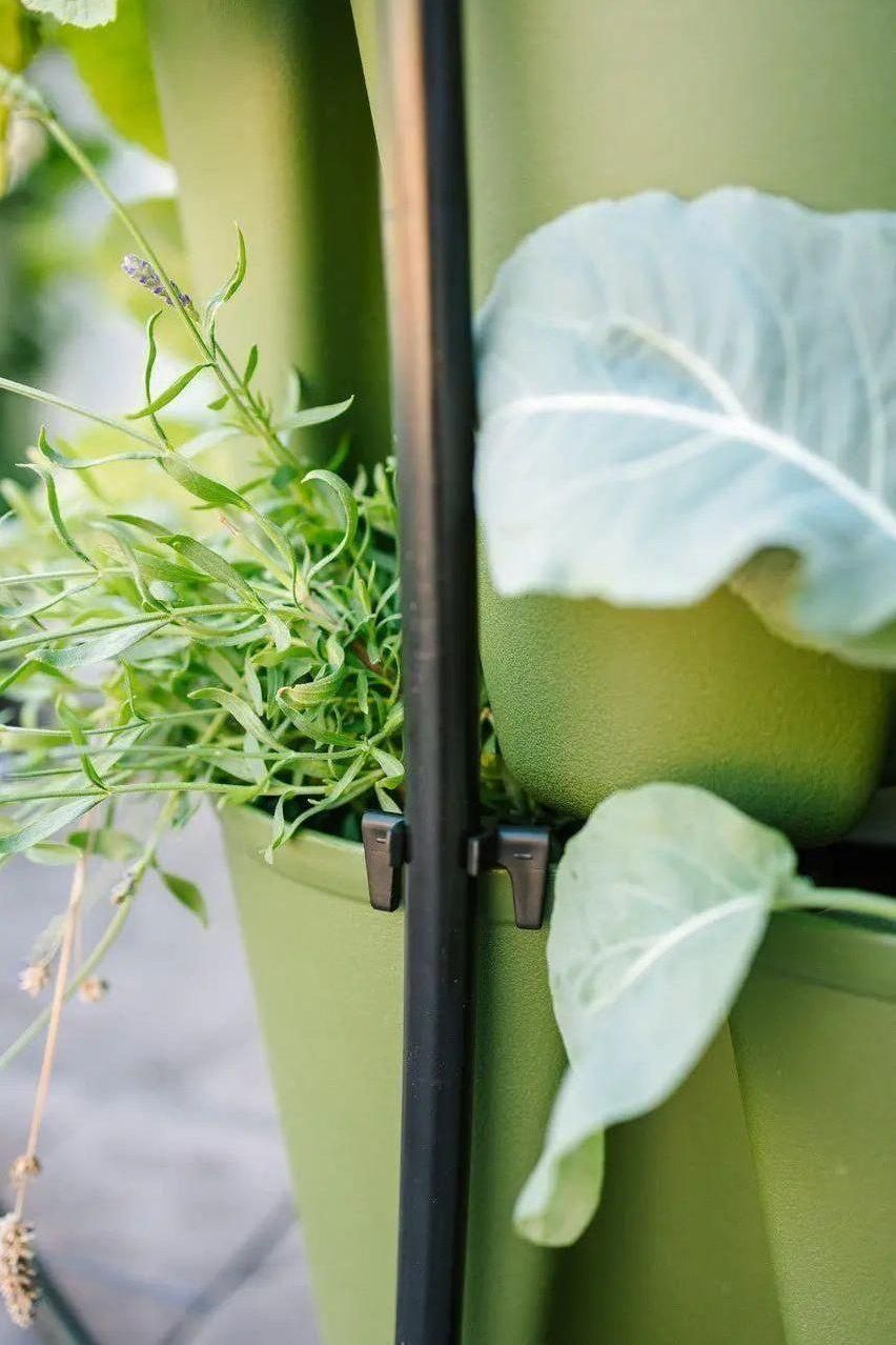 GreenStalk Garden Spring - Watering System Evergreen