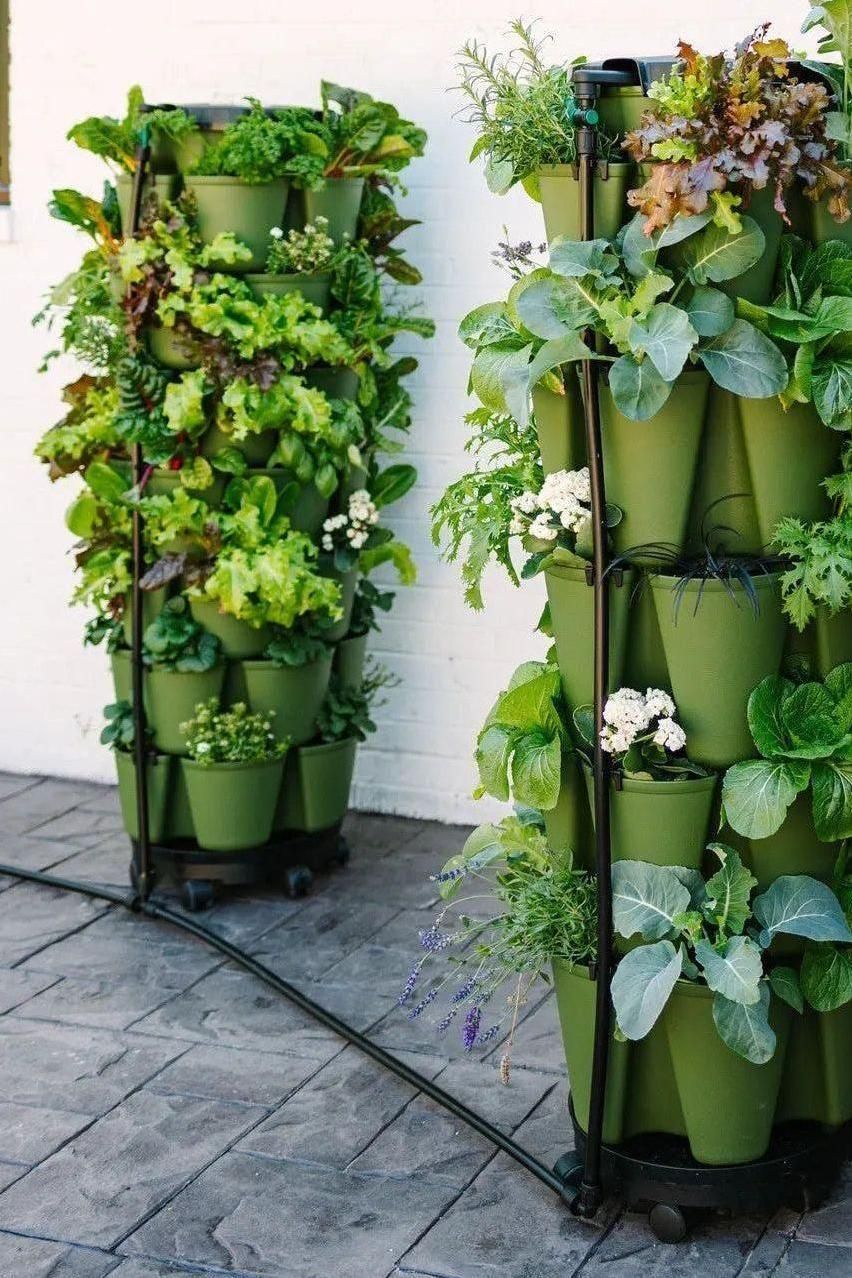 GreenStalk Garden Spring - Watering System Evergreen