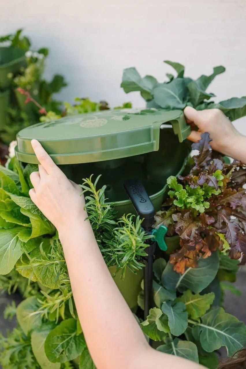 GreenStalk Garden Spring - Watering System Evergreen