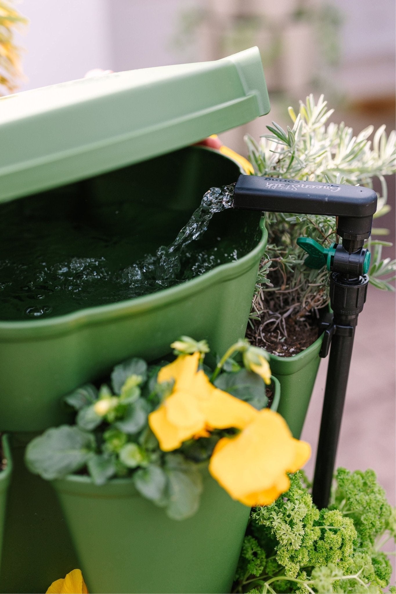 GreenStalk Garden Spring - Watering System Evergreen