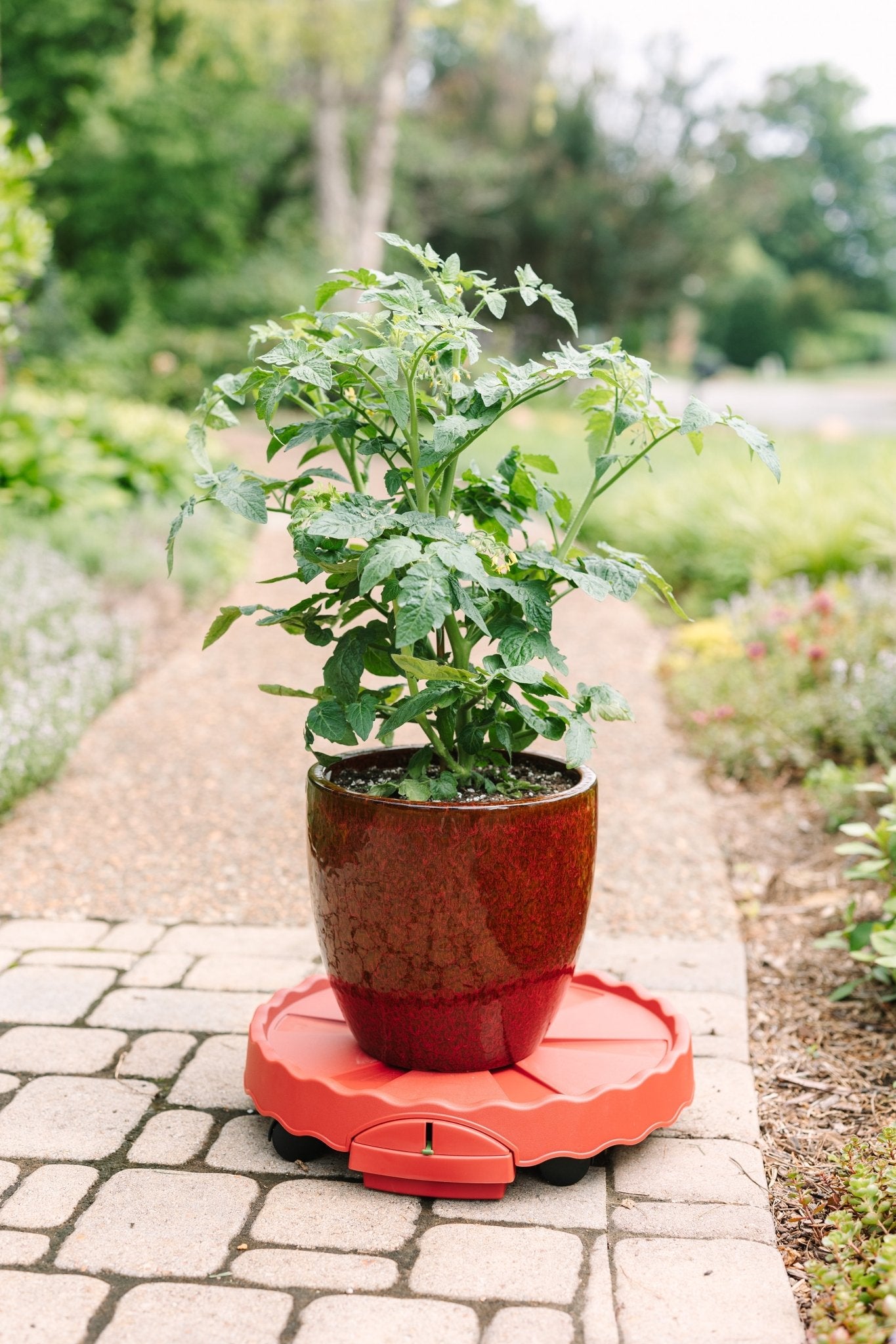 GreenStalk Garden Ultimate Indoor Mover & Plant Stand Tomato