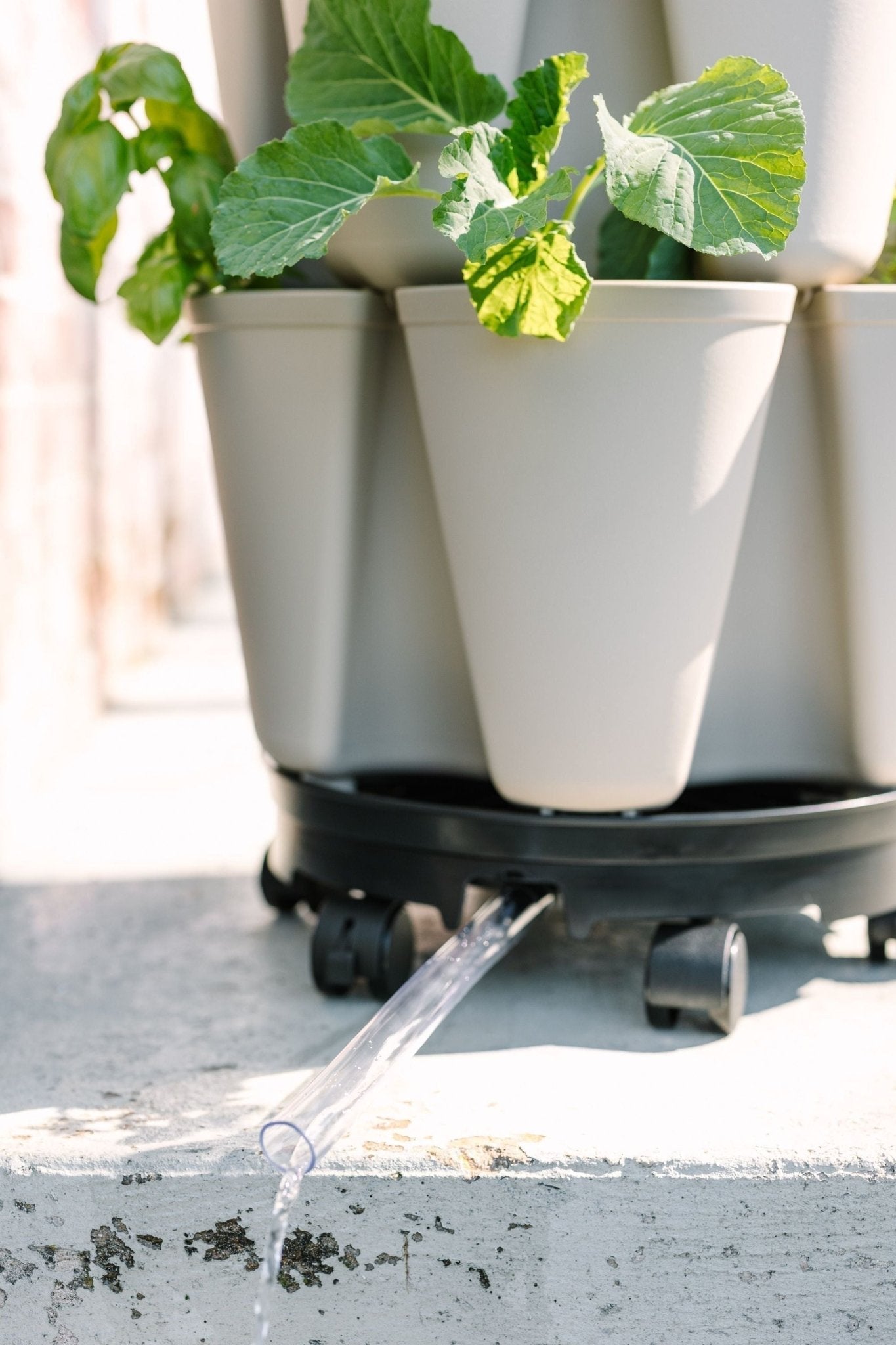 GreenStalk Garden Ultimate Spinner & Wheel Kit