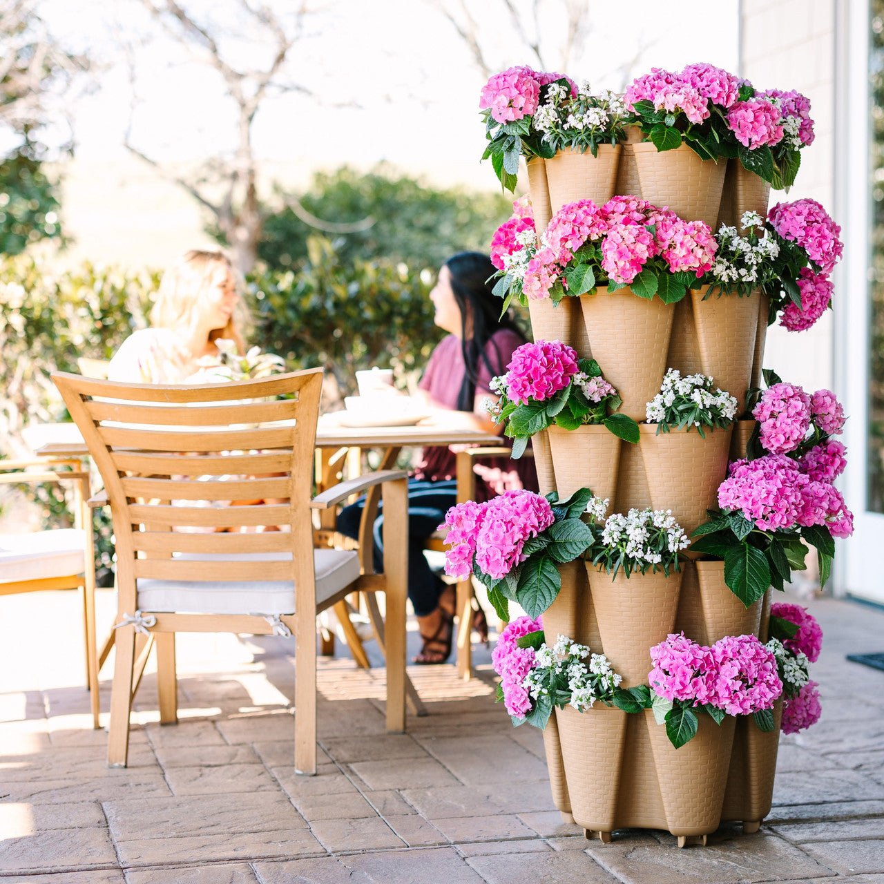 5-Tier Maple