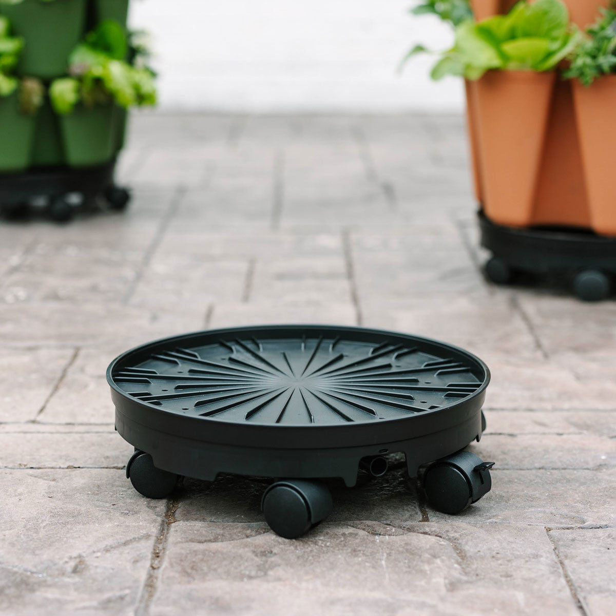 Ultimate Spinner & Wheels