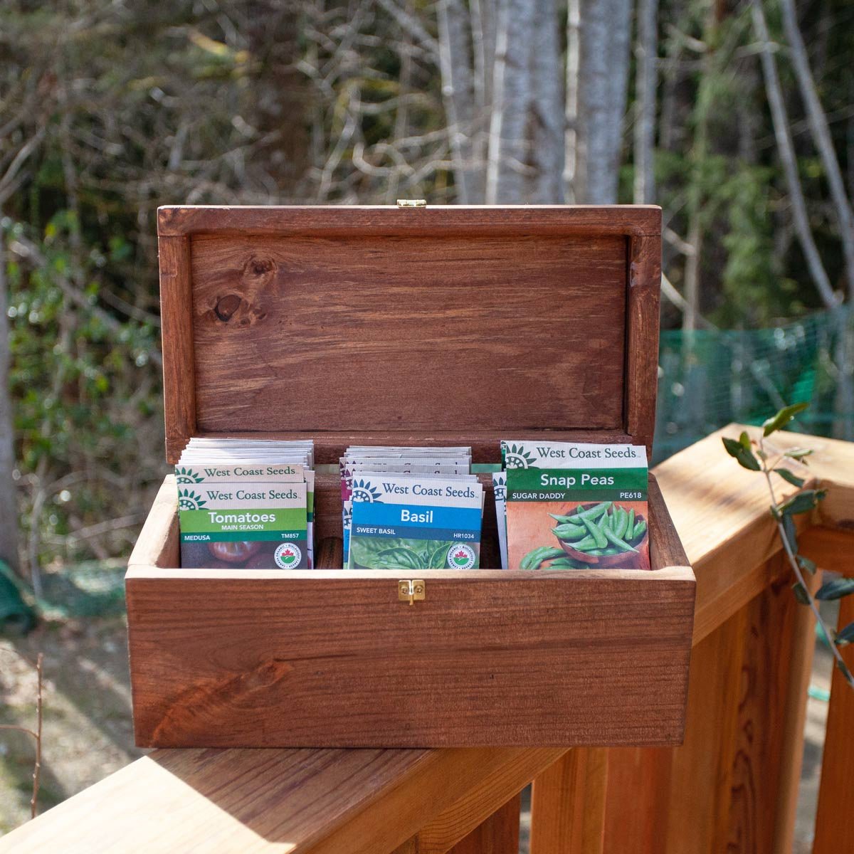 Handcrafted Seed Vault - Divided Wooden Box for Seed Storage Beet (Large)