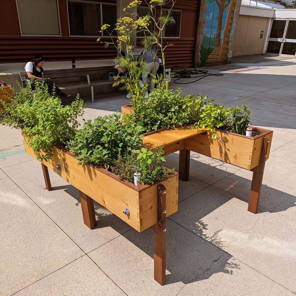 Harmony Accessibility Self-Watering Cedar Garden Coastal