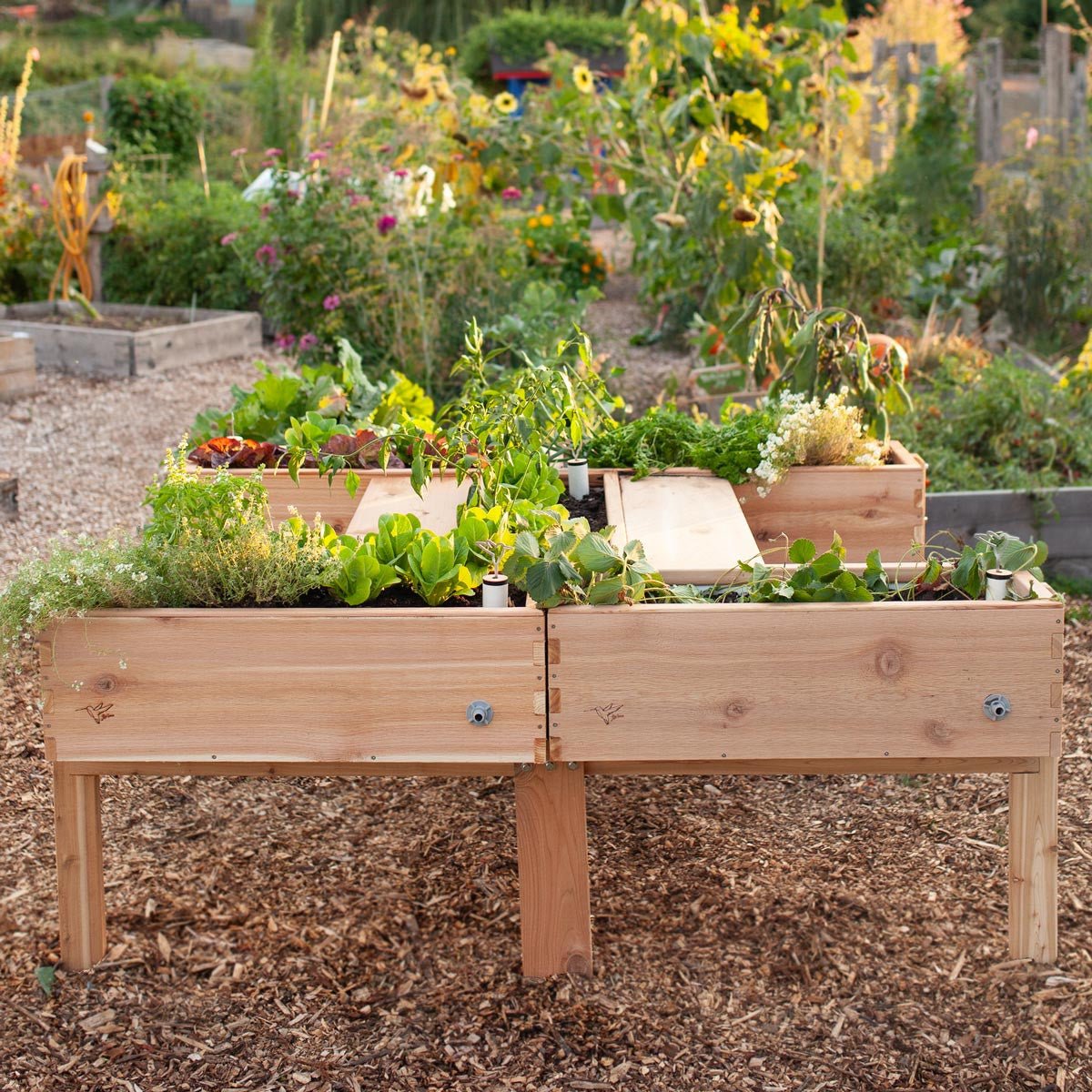Harmony Accessibility Self-Watering Cedar Garden Raw Cedar