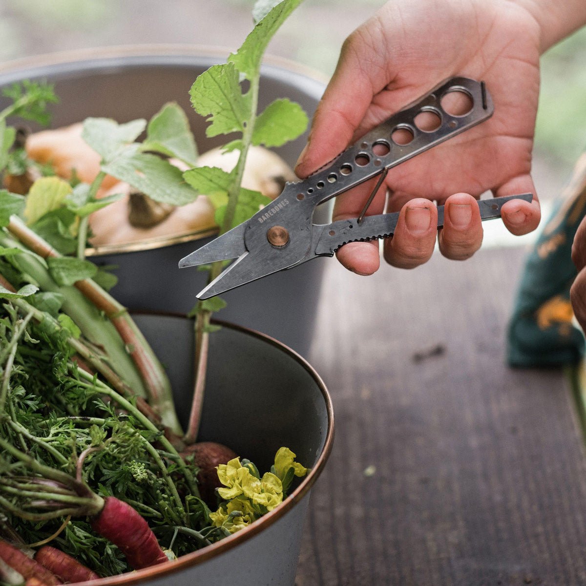 Herb Harvest and Strip Garden Tool Black