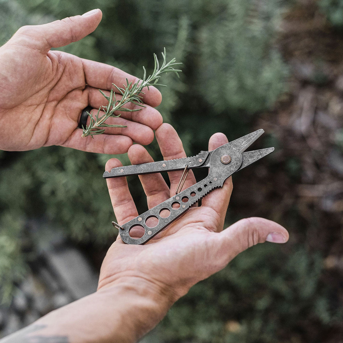 Herb Harvest and Strip Garden Tool Black