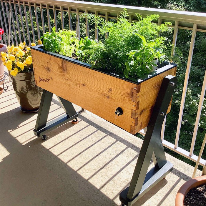 HighRise Self-Watering Elevated Cedar Planter Modern Clear (& Black Trim) None