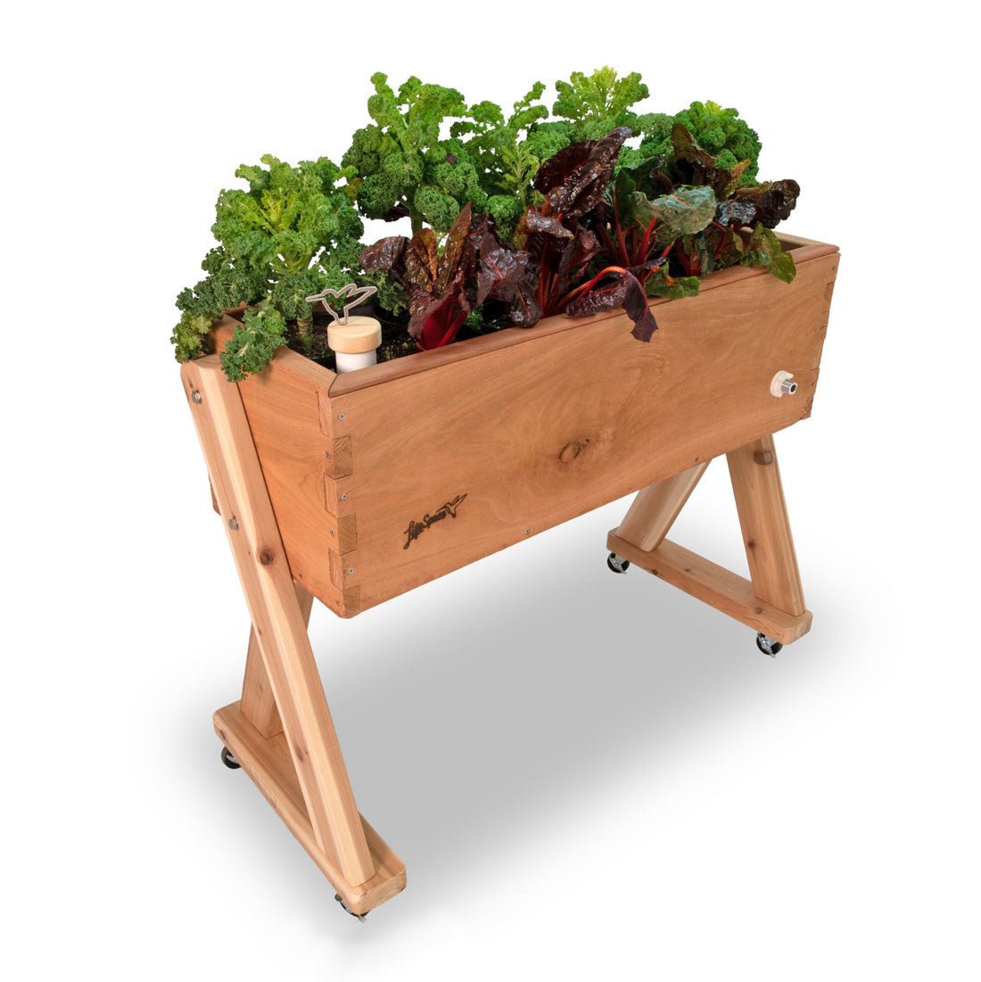 HighRise Self-Watering Elevated Cedar Planter Raw Cedar None option3