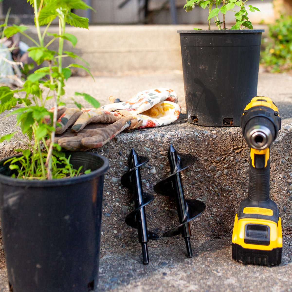 Home Garden Auger Starter Bundle - 2" x 7" and 3" x 7"