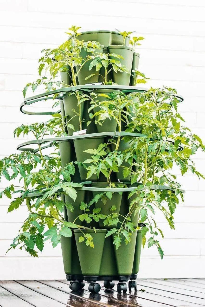 GreenStalk Garden Plant Support - Set of 3
