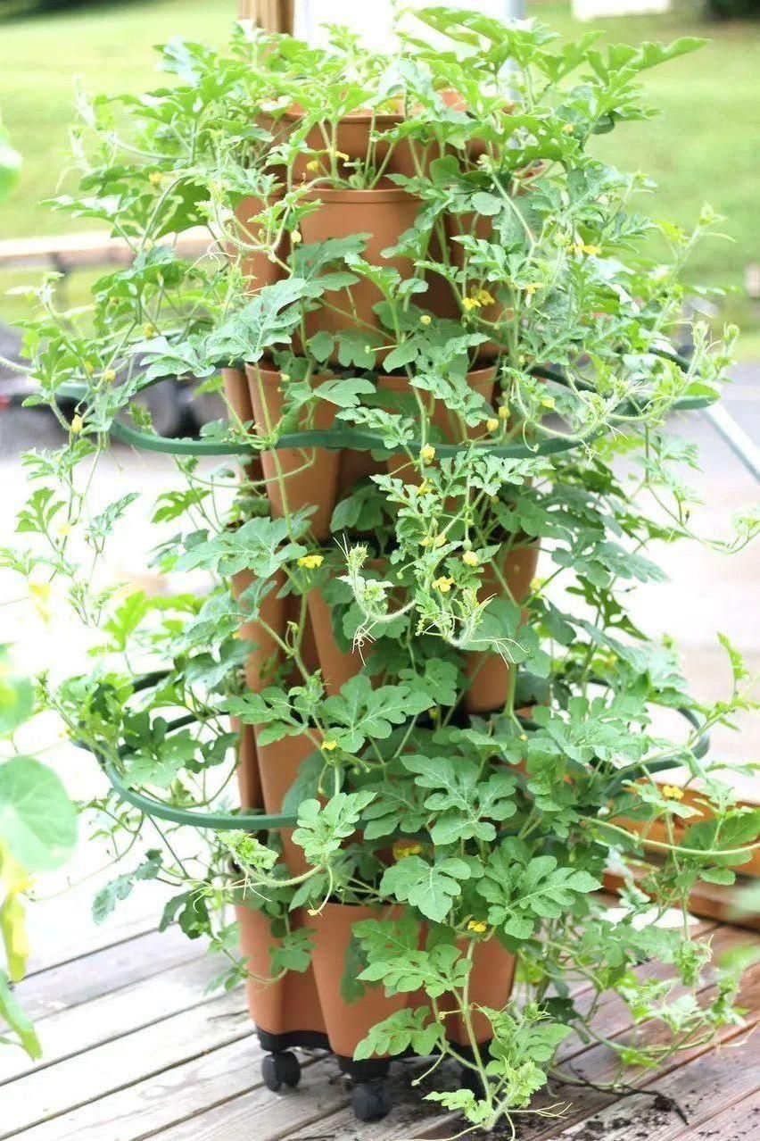 GreenStalk Garden Plant Support - Set of 3