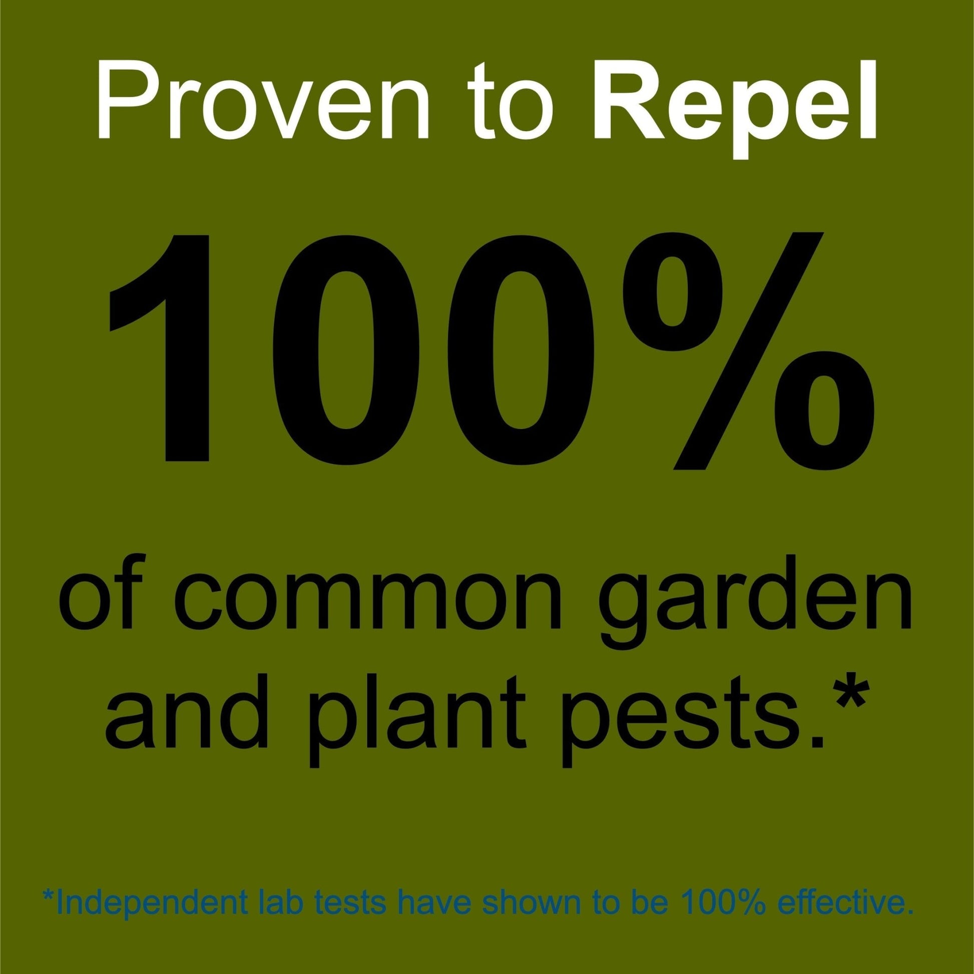 Indoor & Outdoor Plant and Garden Pest Control Spray - 32 oz