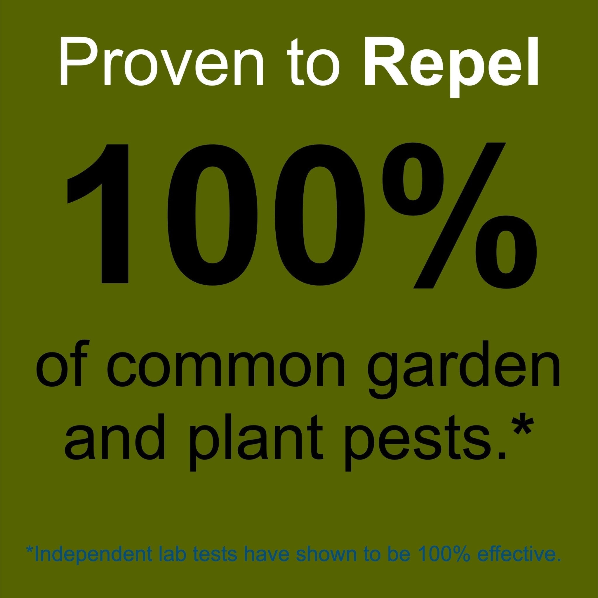 Indoor & Outdoor Plant and Garden Pest Control Spray - 32 oz
